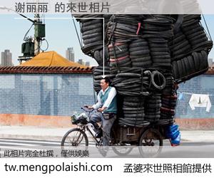 谢丽丽 來世的未來相片