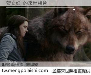 贺文红 來世的未來相片