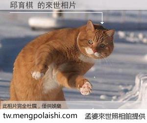 邱育棋 來世的未來相片