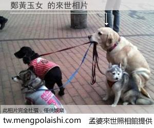 鄭黃玉女 來世的未來相片