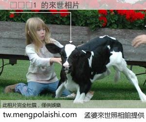 물리학1 來世的未來相片