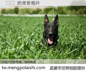 설향 來世的未來相片