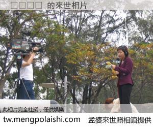 애니비아 來世的未來相片