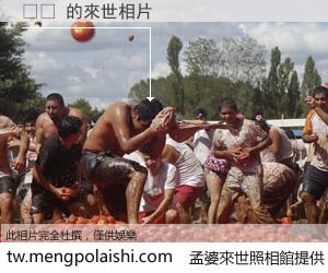 체스 來世的未來相片