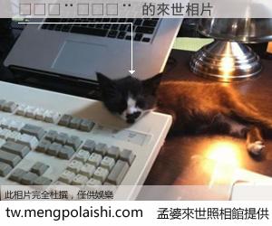 🇨🇨 來世的未來相片