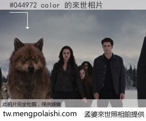 #044972 color 來世的未來相片