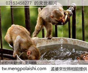 02153458277 來世的未來相片