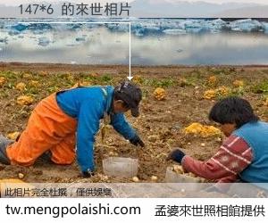 147*6 來世的未來相片