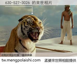 630-527-3026 來世的未來相片