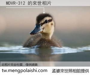 MDVR-312 來世的未來相片