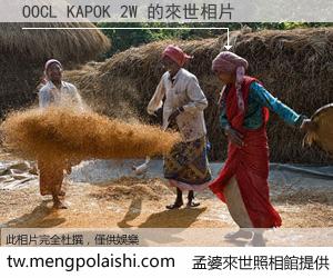 OOCL KAPOK 2W 來世的未來相片