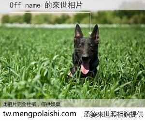 Off name 來世的未來相片