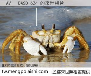 AV   DASD-624 來世的未來相片