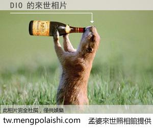 DIO 來世的未來相片