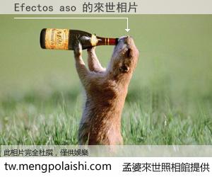 Efectos aso 來世的未來相片