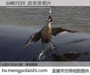 GAMEFEER 來世的未來相片