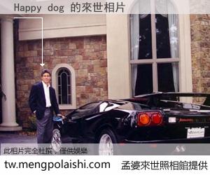 Happy dog 來世的未來相片