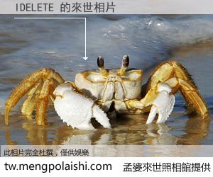 IDELETE 來世的未來相片