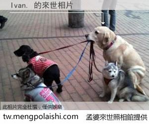 Ivan. 來世的未來相片