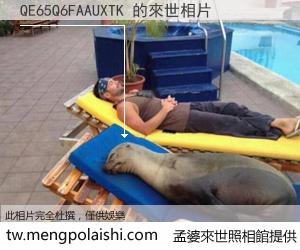 QE65Q6FAAUXTK 來世的未來相片