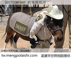 SUITCOMPANY 來世的未來相片