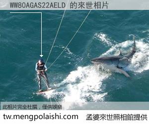 WW80AGAS22AELD 來世的未來相片