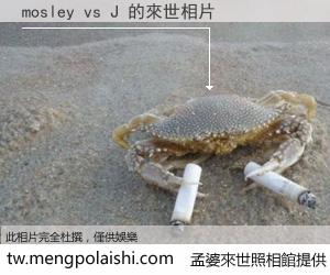 mosley vs J 來世的未來相片