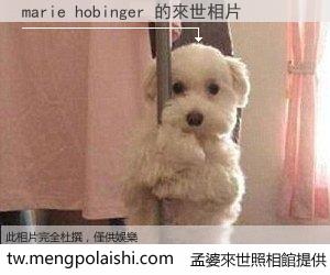 marie hobinger 來世的未來相片