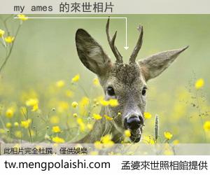 my ames 來世的未來相片