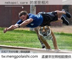 nekopoi,care 來世的未來相片