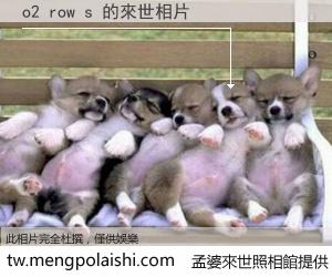 o2 row s 來世的未來相片