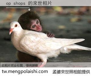 op shops 來世的未來相片