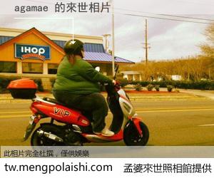 agamae 來世的未來相片