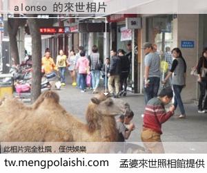 alonso 來世的未來相片