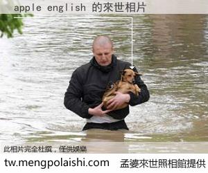 apple english 來世的未來相片