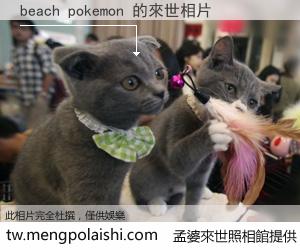 beach pokemon 來世的未來相片