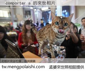 comporter a 來世的未來相片