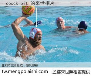 coock pit 來世的未來相片