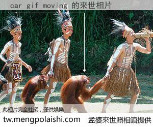 car gif moving 來世的未來相片