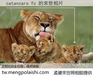 catanzaro fc 來世的未來相片