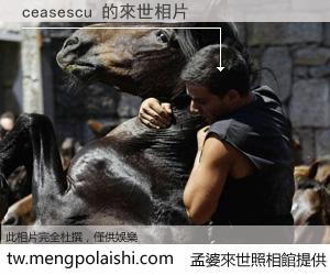 ceasescu 來世的未來相片