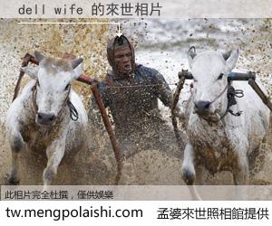 dell wife 來世的未來相片