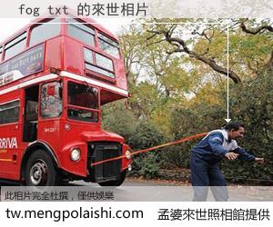 fog txt 來世的未來相片