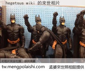 hegetsus wiki 來世的未來相片