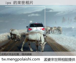 ips 來世的未來相片