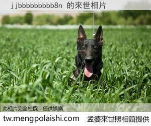 jjbbbbbbbbb8n 來世的未來相片