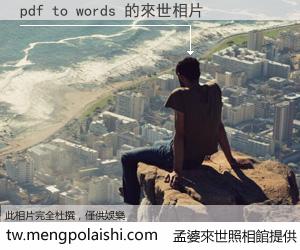 pdf to words 來世的未來相片