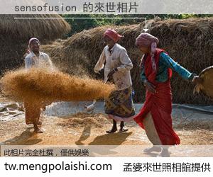 sensofusion 來世的未來相片