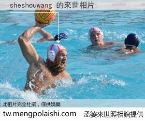 sheshouwang 來世的未來相片