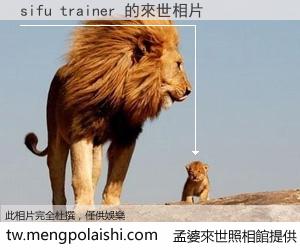 sifu trainer 來世的未來相片